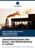 Umweltemissionen der Eisen- und Stahlindustrie in Lahore