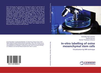 In-vitro labelling of ovine mesenchymal stem cells
