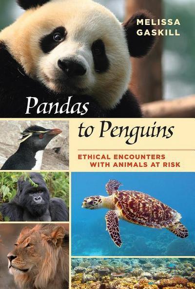 Pandas to Penguins: Ethical Encounters with Animals at Risk