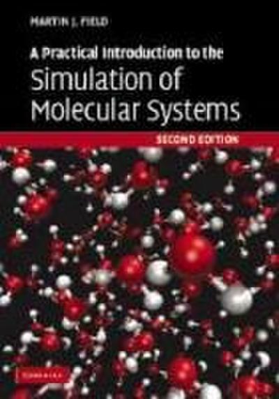 A Practical Introduction to the Simulation of Molecular Systems