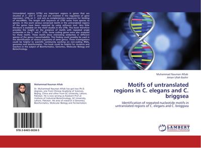 Motifs of untranslated regions in C. elegans and C. briggsea