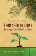 From Seed to Cedar