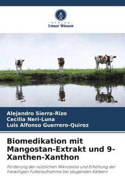 Biomedikation mit Mangostan-Extrakt und 9-Xanthen-Xanthon