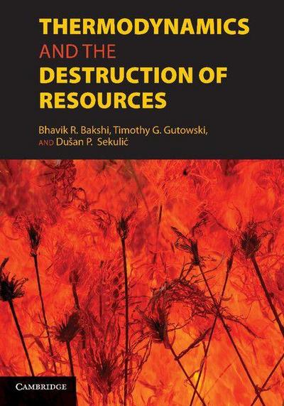 Thermodynamics and the Destruction of             Resources