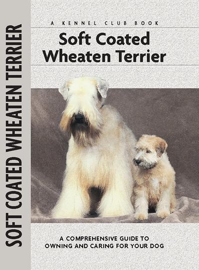 Soft Coat Wheaten Terrier