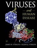Viruses and Human Disease - Ellen G. Strauss