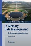 In-Memory Data Management