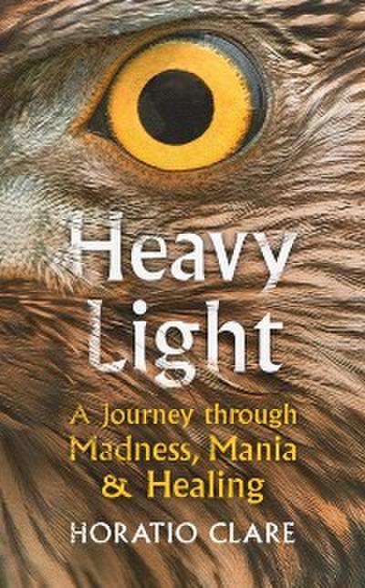 Heavy Light : A Journey Through Madness, Mania and Healing