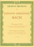 Triosonate G-Dur BWV1038für Flöte, Violine und Bc