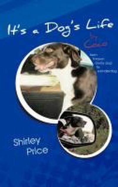 It’s a Dog’s Life by Coco