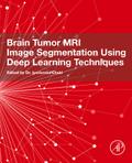 Brain Tumor MRI Image Segmentation Using Deep Learning Techniques