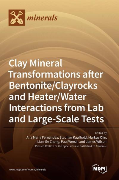 Clay Mineral Transformations after Bentonite/Clayrocks and Heater/Water Interactions from Lab and Large-Scale Tests