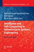 Intelligent and Soft Computing in Infrastructure Systems Engineering