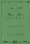 Sheep may safely graze BWV208803