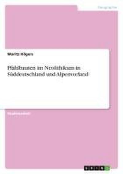 Pfahlbauten im Neolithikum in Süddeutschland und Alpenvorland - Moritz Hilgers