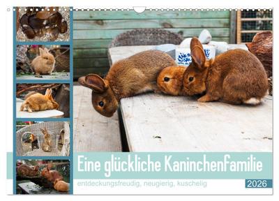 Eine glückliche Kaninchenfamilie (Wandkalender 2026 DIN A3 quer), CALVENDO Monatskalender