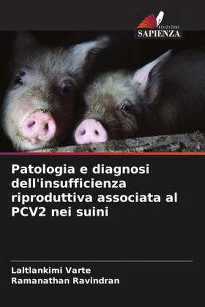 Patologia e diagnosi dell’insufficienza riproduttiva associata al PCV2 nei suini