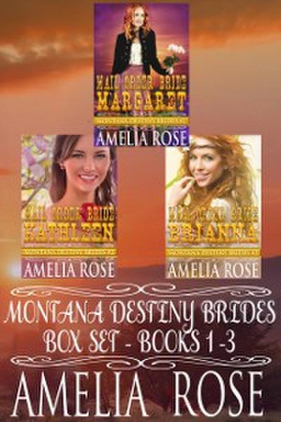 Montana Destiny Brides Box Set: Books 1-3