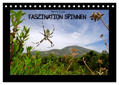 Faszination Spinnen (Tischkalender 2024 DIN A5 quer), CALVENDO Monatskalender