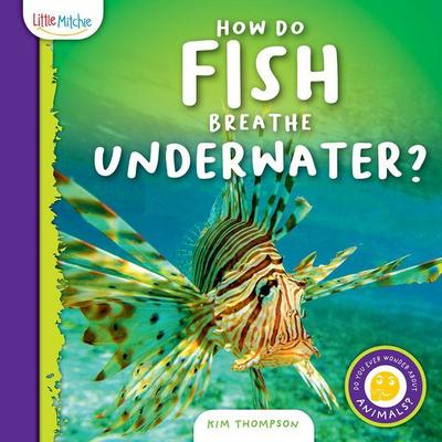 How Do Fish Breathe Underwater?