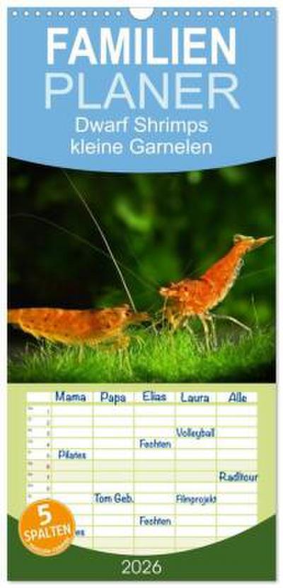 Familienplaner 2026 - Dwarf Shrimps - kleine Garnelen mit 5 Spalten (Wandkalender, 21 x 45 cm) CALVENDO