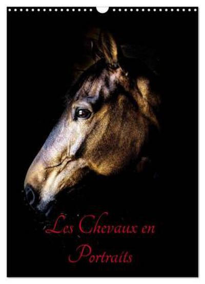 Chevaux en Portraits (Calendrier mural 2026 DIN A3 horizontal), CALVENDO calendrier mensuel