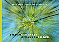 Bildergedanken - Gedankenbilder