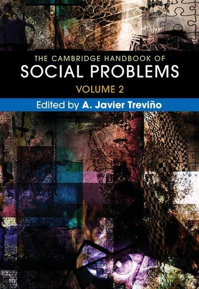 Cambridge Handbook of Social Problems: Volume 2