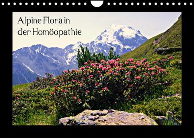 Alpine Flora in der Homöopathie (Wandkalender 2023 DIN A4 quer)