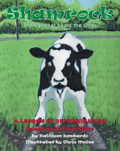 Shamrock The Calf That Beats the Odds
