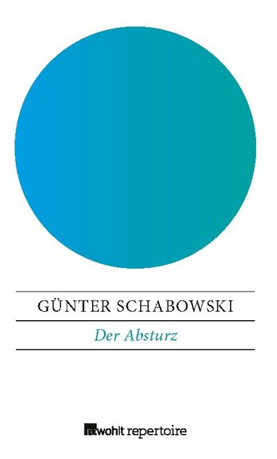 Der Absturz
