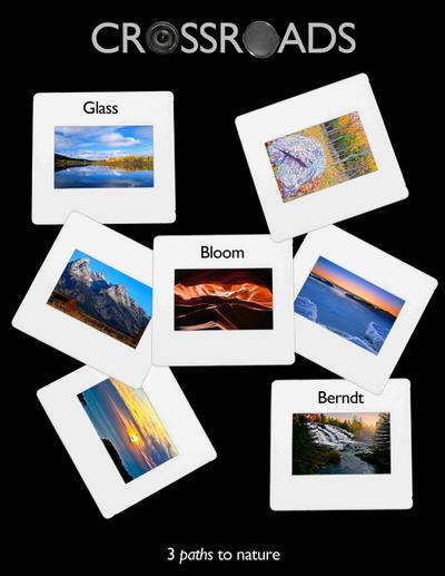 Crossroads - 3 paths to Nature