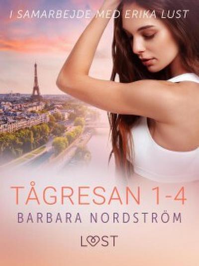 Tågresan 1-4 - en serie om erotiska tågresor