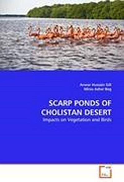 SCARP PONDS OF CHOLISTAN DESERT
