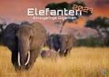 Elefanten - einzigartige Giganten 2027