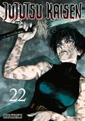 Jujutsu Kaisen 22