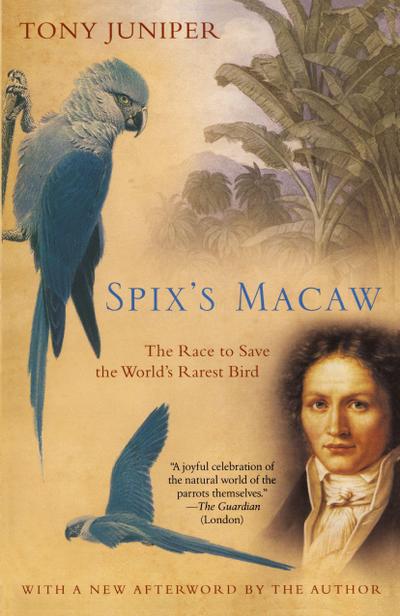 Spix’s Macaw
