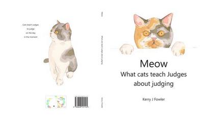 Meow What cats teach Judges about judging