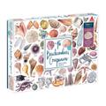 The Beachcomber’s Companion 1000 Piece Puzzle With Shaped Pieces