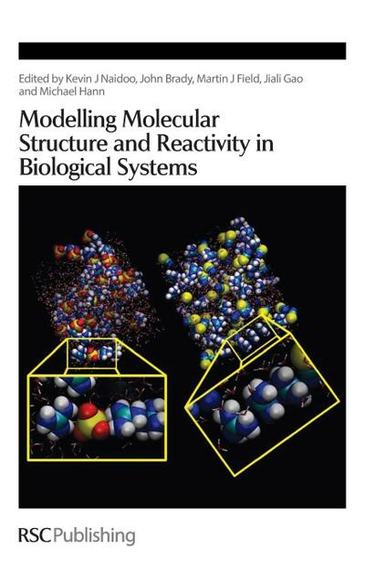 Modelling Molecular Structure and Reactivity in Biological Systems