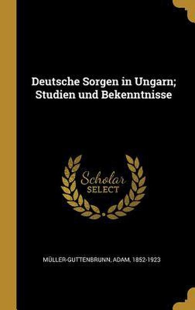 Deutsche Sorgen in Ungarn; Studien Und Bekenntnisse