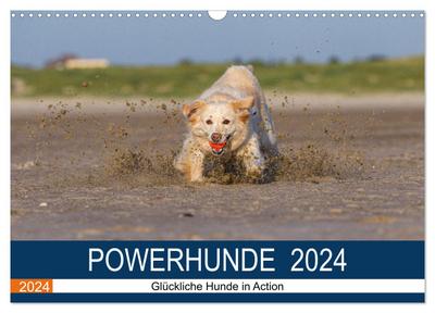 POWERHUNDE 2024 (Wandkalender 2024 DIN A3 quer), CALVENDO Monatskalender