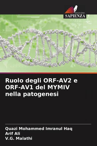 Ruolo degli ORF-AV2 e ORF-AV1 del MYMIV nella patogenesi
