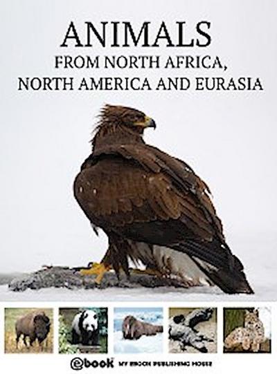 Animals from North Africa, North America and Eurasia