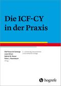 Die ICF-CY in der Praxis