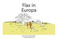 Flax in Europa