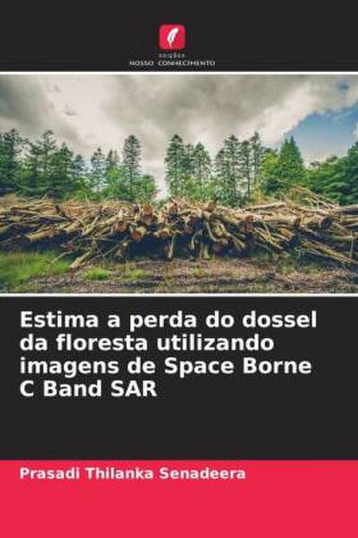 Estima a perda do dossel da floresta utilizando imagens de Space Borne C Band SAR