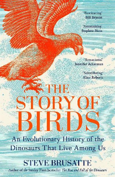 The Story of Birds