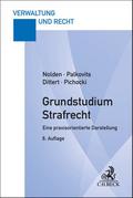 Grundstudium Strafrecht