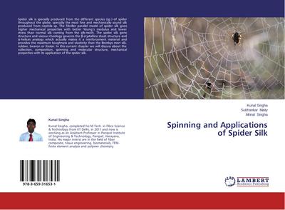 Spinning and Applications of Spider Silk